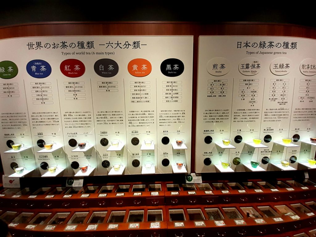 ふじのくに茶の都ミュージアムのお茶の種類の解説