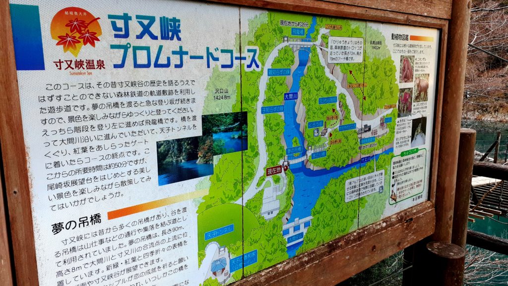 静岡の寸又峡温泉　夢の吊り橋「プロムナードコース」