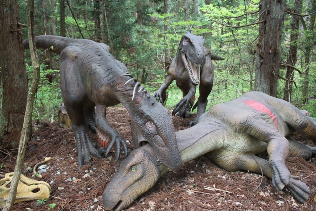 【東海大学自然史博物館の口コミ】恐竜好きの子供におすすめ観光地！　まとめ