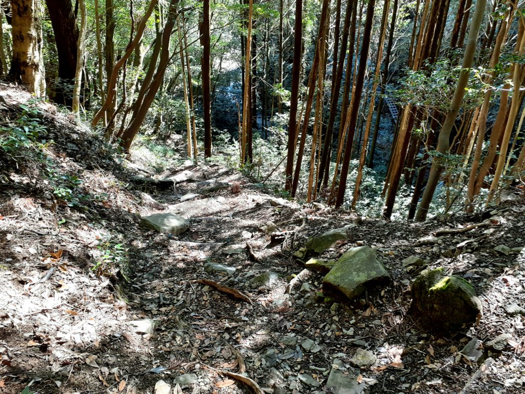 静岡市の竜爪山の登山