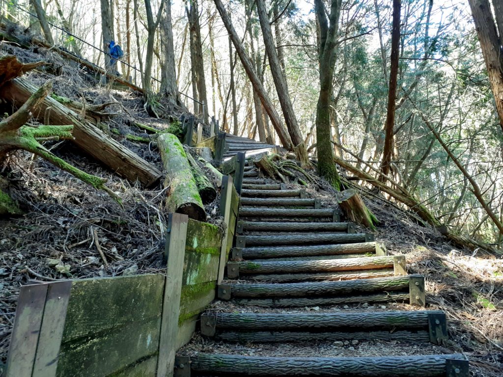 静岡市の竜爪山の登山