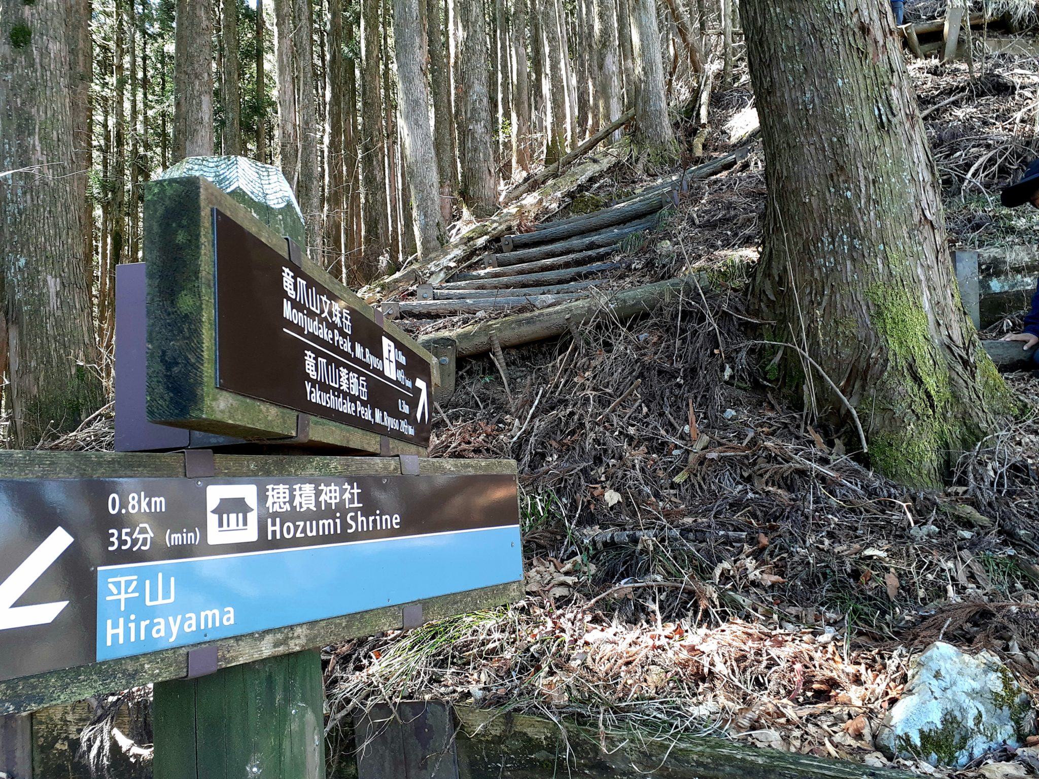 【初心者向け】静岡市の竜爪山登山!子連れで行けました! 【初心者向け】静岡市の竜爪山登山!子連れで行けました!