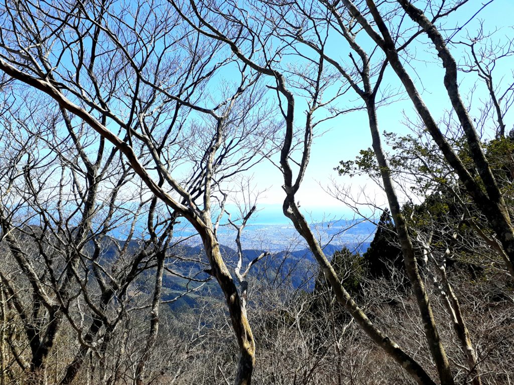静岡市の竜爪山の登山