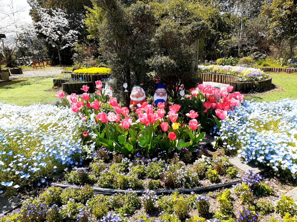掛川城公園のお花