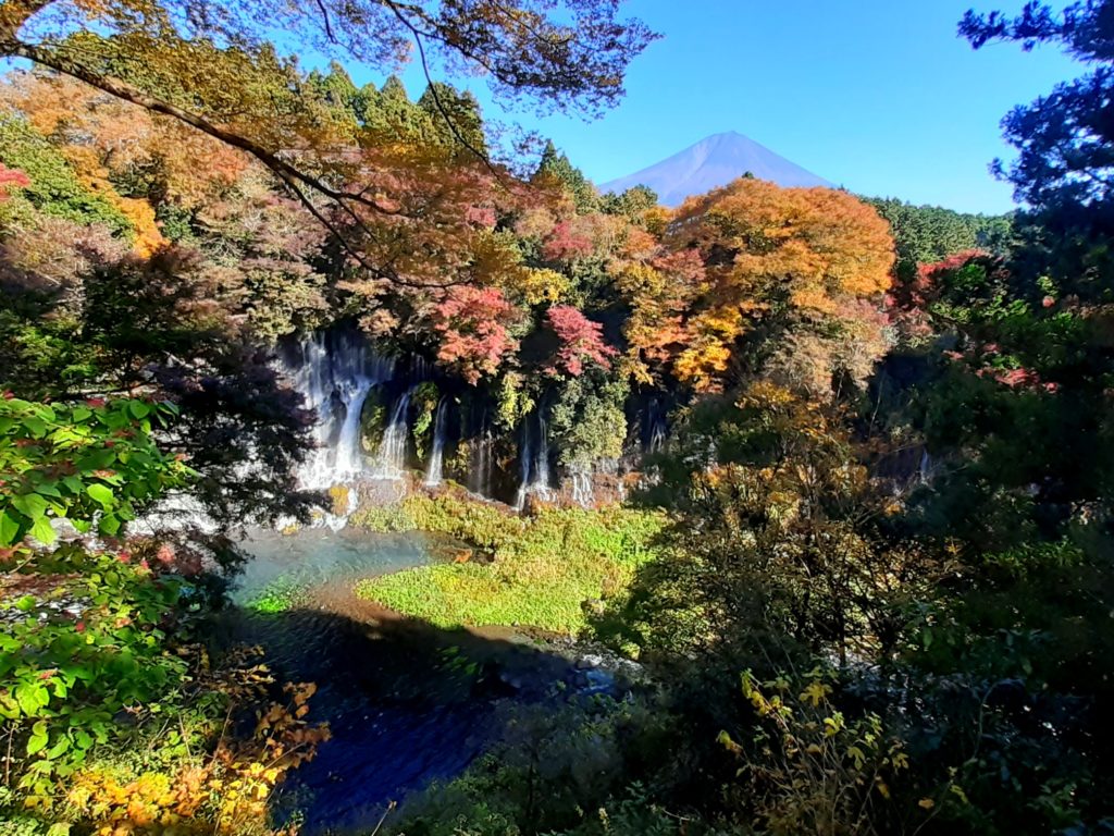 【ペット同伴観光】富士山白糸の滝で紅葉と虹を見る展望台