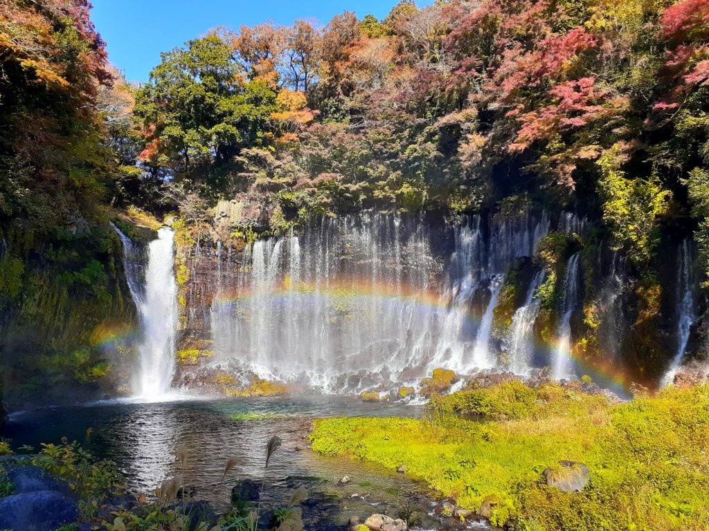 【ペット同伴観光】富士山白糸の滝で紅葉と虹を見る旅行。虹がキレイ。