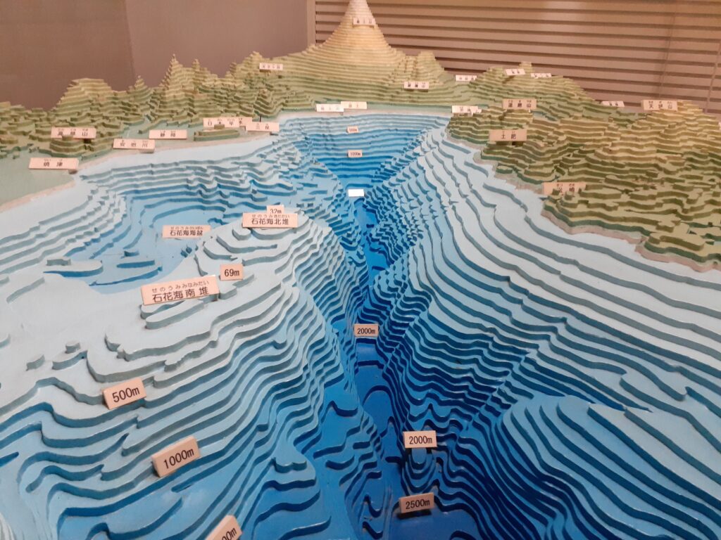 東海大学海洋科学博物館　展示室の模型