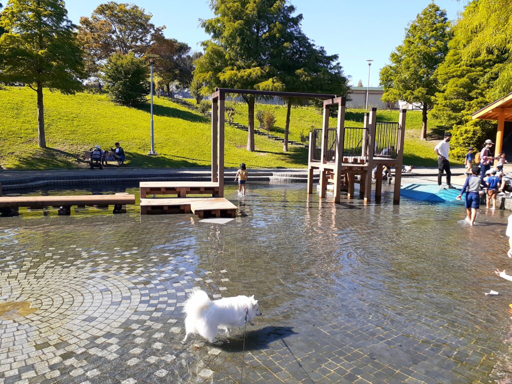 県立淡路島公園のペットも子供も喜ぶ水の遊び場